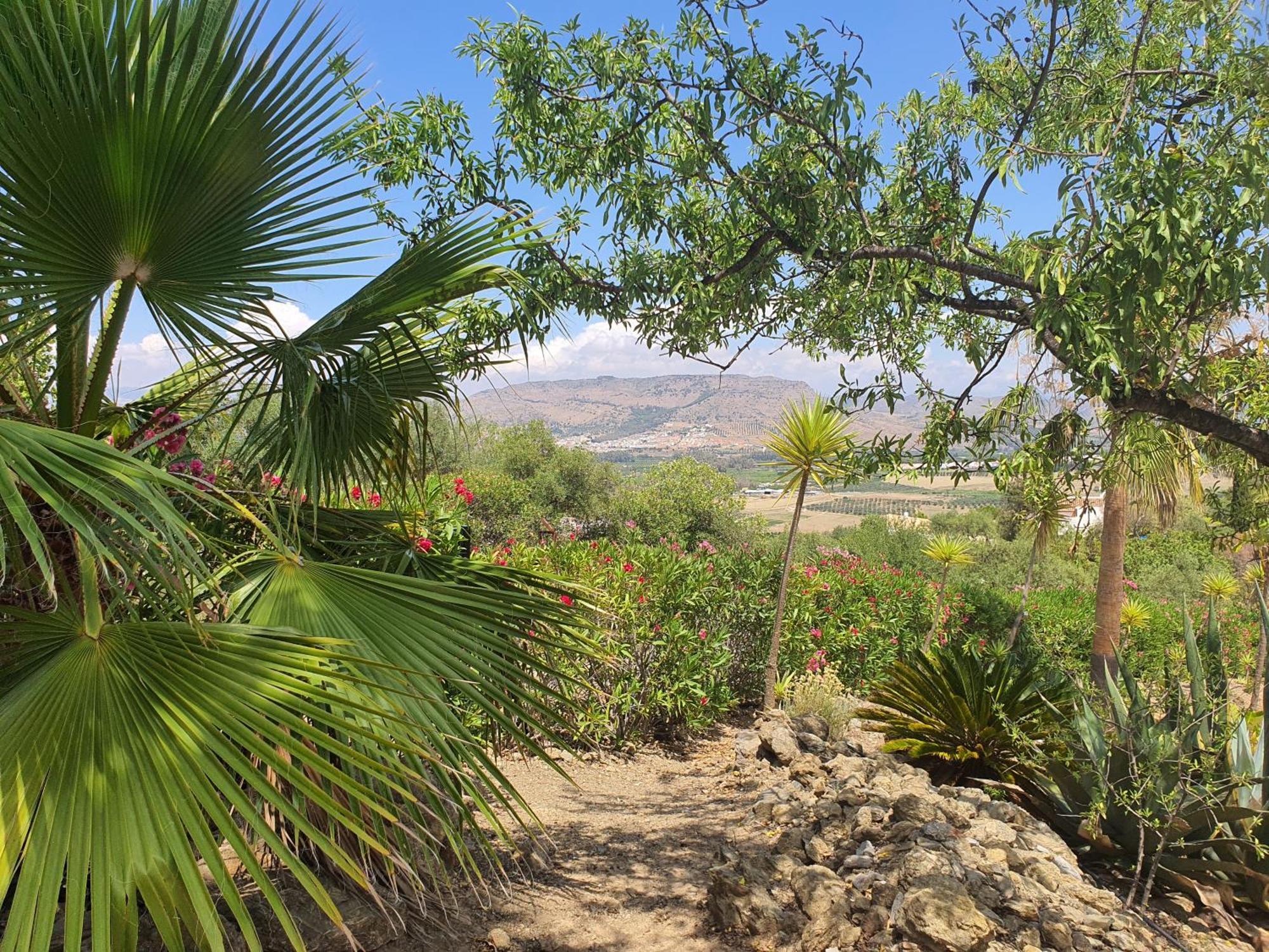 Finca Flamenco Holiday Suites Adults Only Pizarra Eksteriør bilde
